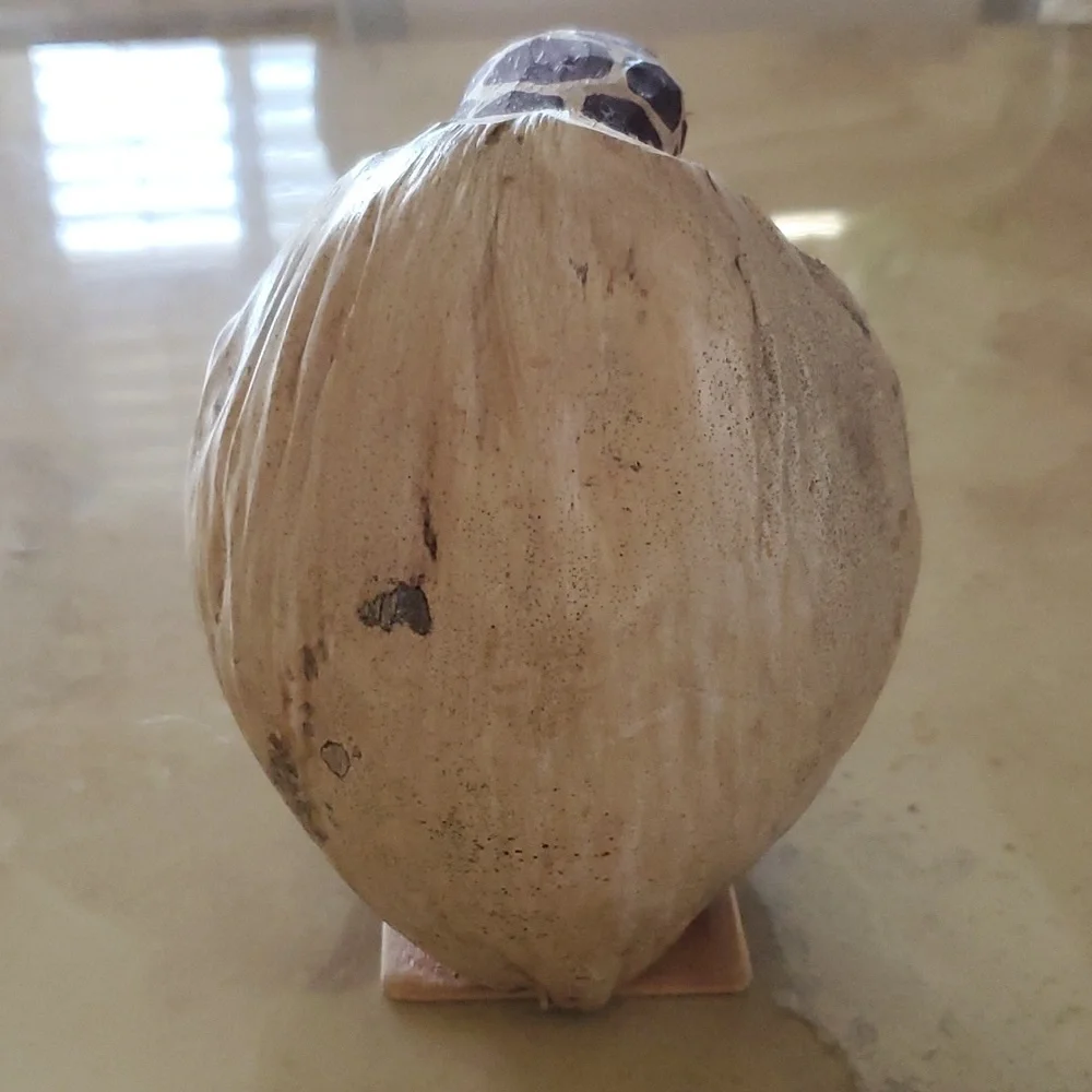 Vintage Turtle Coconut Vase